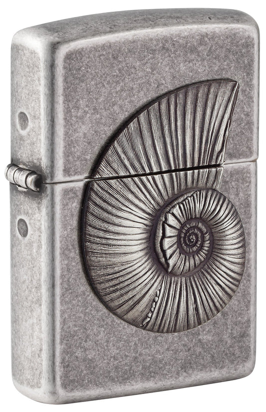 Fossile Muschel
