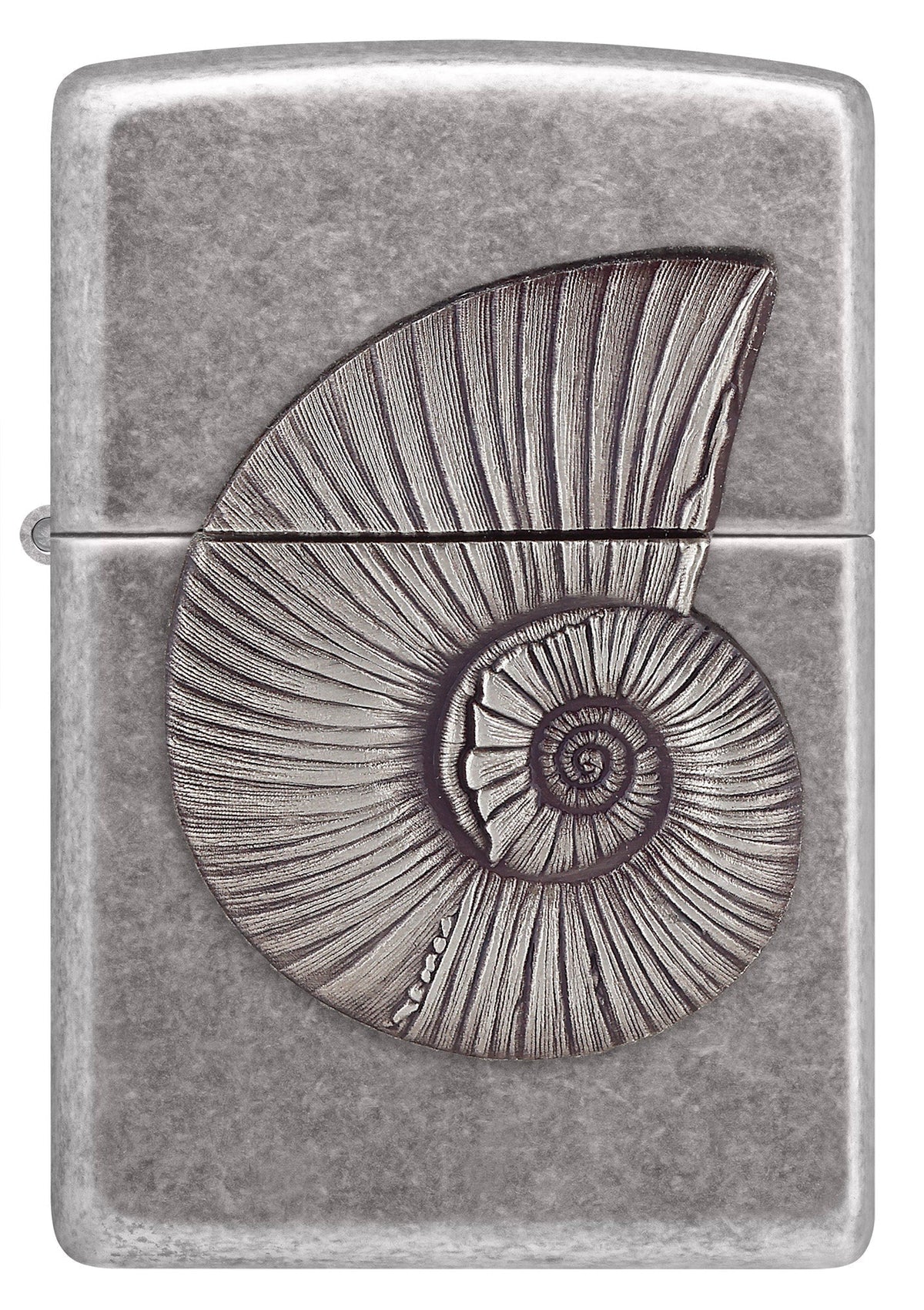 Fossile Muschel