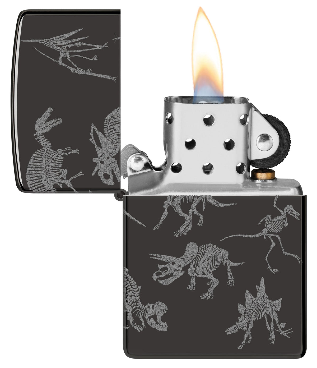 Dinosaur Skeletons Design
