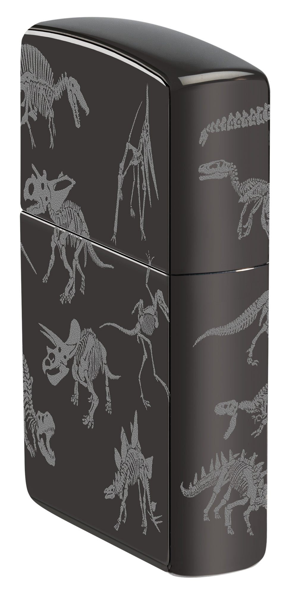Dinosaur Skeletons Design