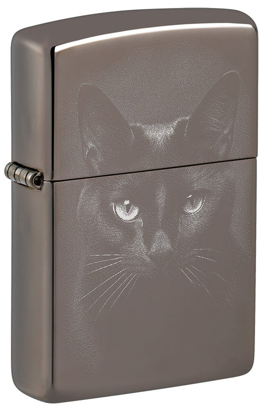 Schattenkatze