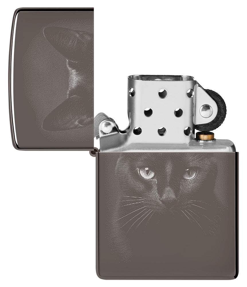 Schattenkatze