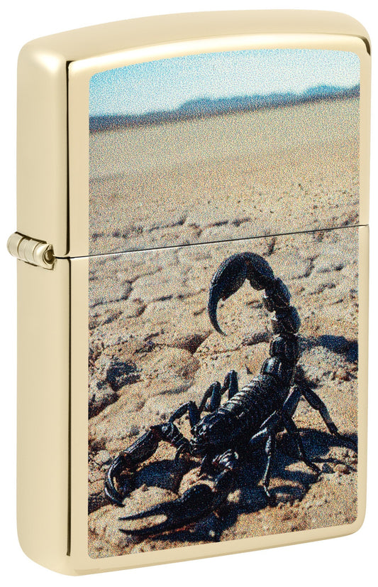 Wüstenskorpion