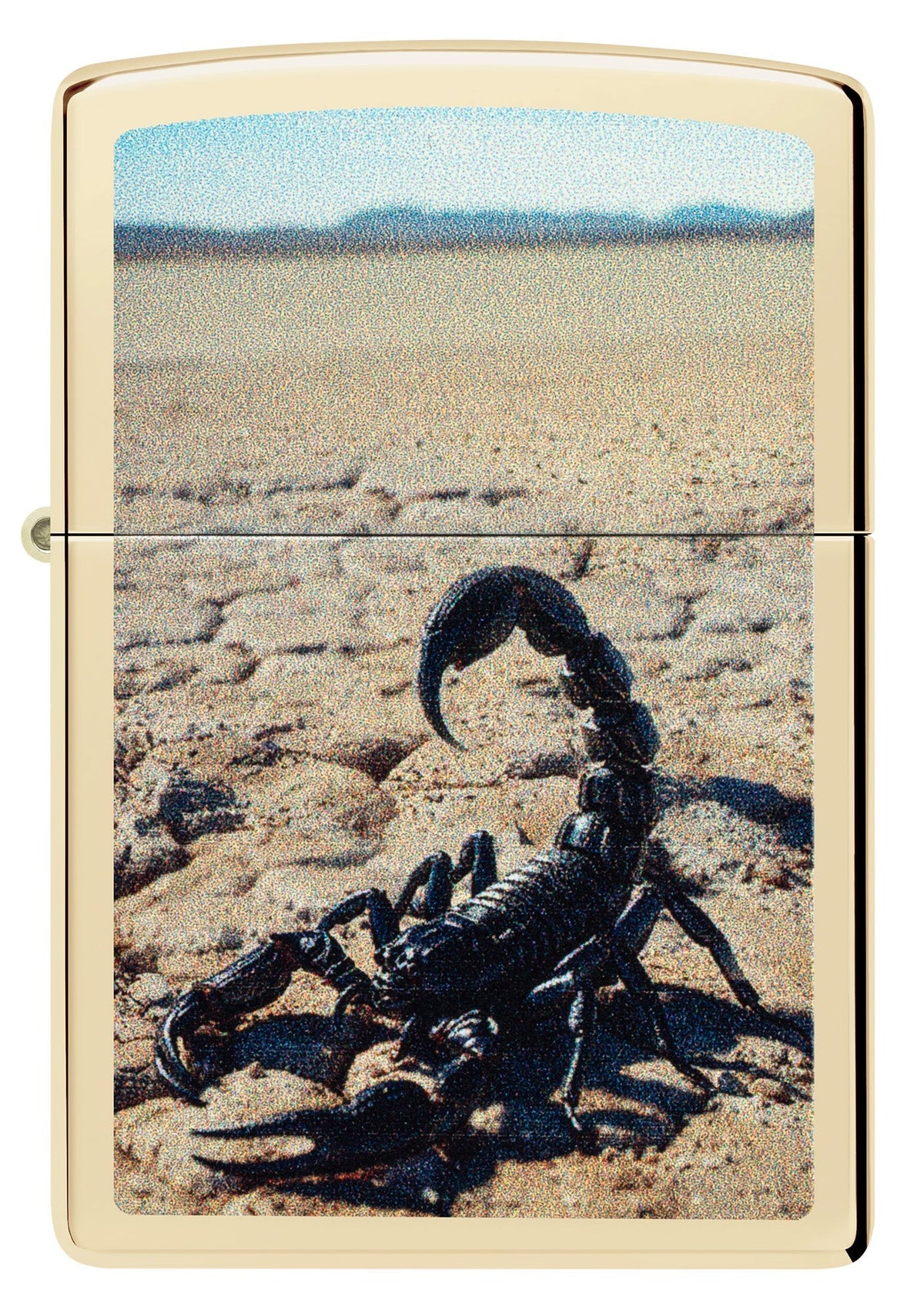 Wüstenskorpion