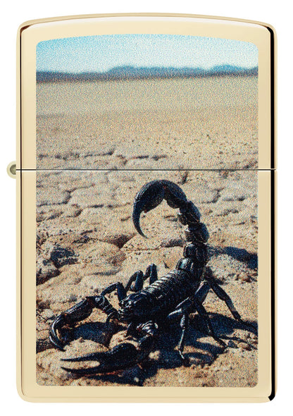 Wüstenskorpion
