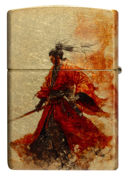 Drache und Samurai